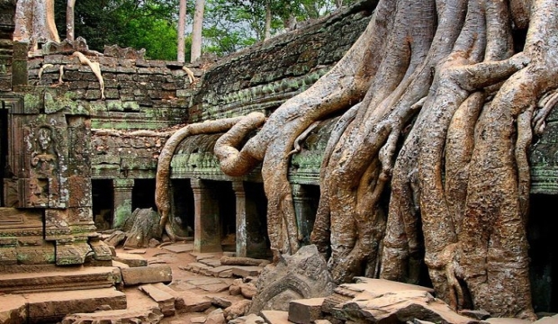 1 Day Small Tour Package for 1 person