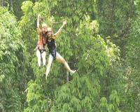 Flight of Gibbon