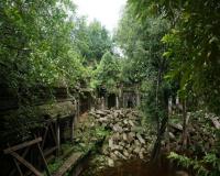 Beng Mealea Temple