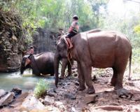 Lumphat Wildlife Sanctuary - Ratanakiri