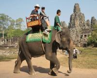 Angkor Elephant Rides (Siem Reap)