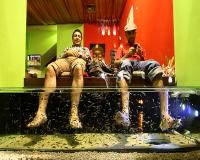 Fish Massage In Cambodia