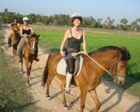 Horse Riding ( Siem Reap )