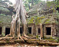 Siem Reap Itinerary 4 Days