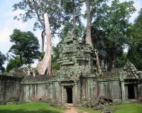 Ta Prohm Temple (Tomb Raider) ( Siem Reap )