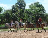 The Happy Ranch Horse Farm (Siem Reap)
